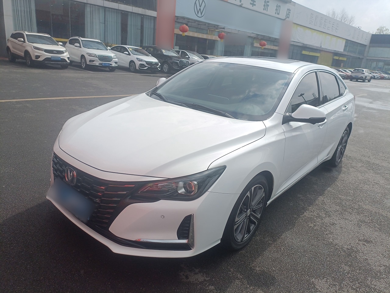 Parte inferior delantera