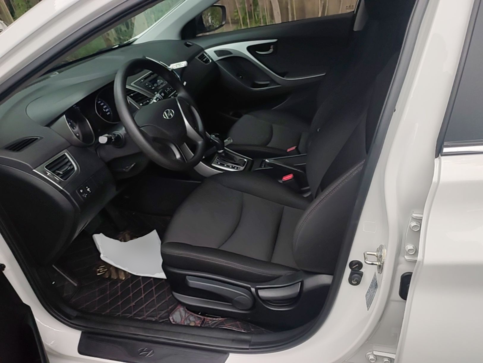 Interior delantero