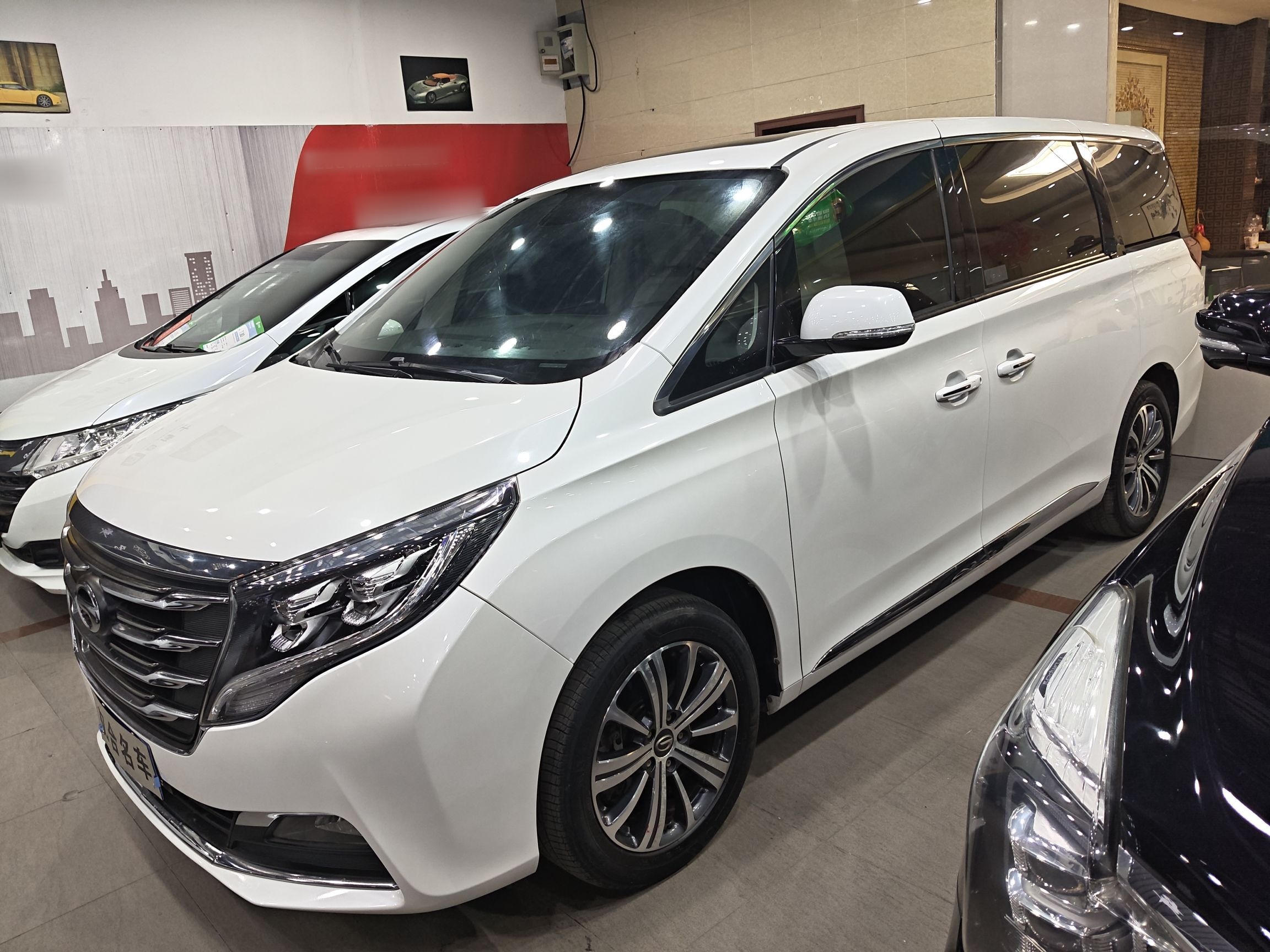 Parte inferior delantera