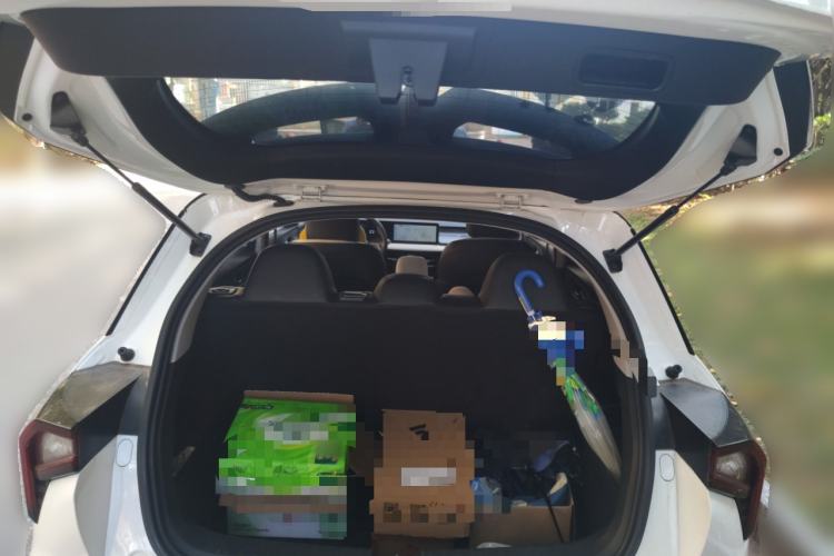 Used Geometry E Firefly 2024 301km Starlight
