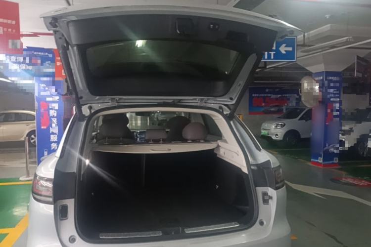 Used Leapmotor C11 2021 Performance Edition