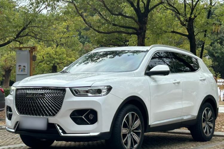Used Haval H6 2021 1.5T Automatic Champion Edition
