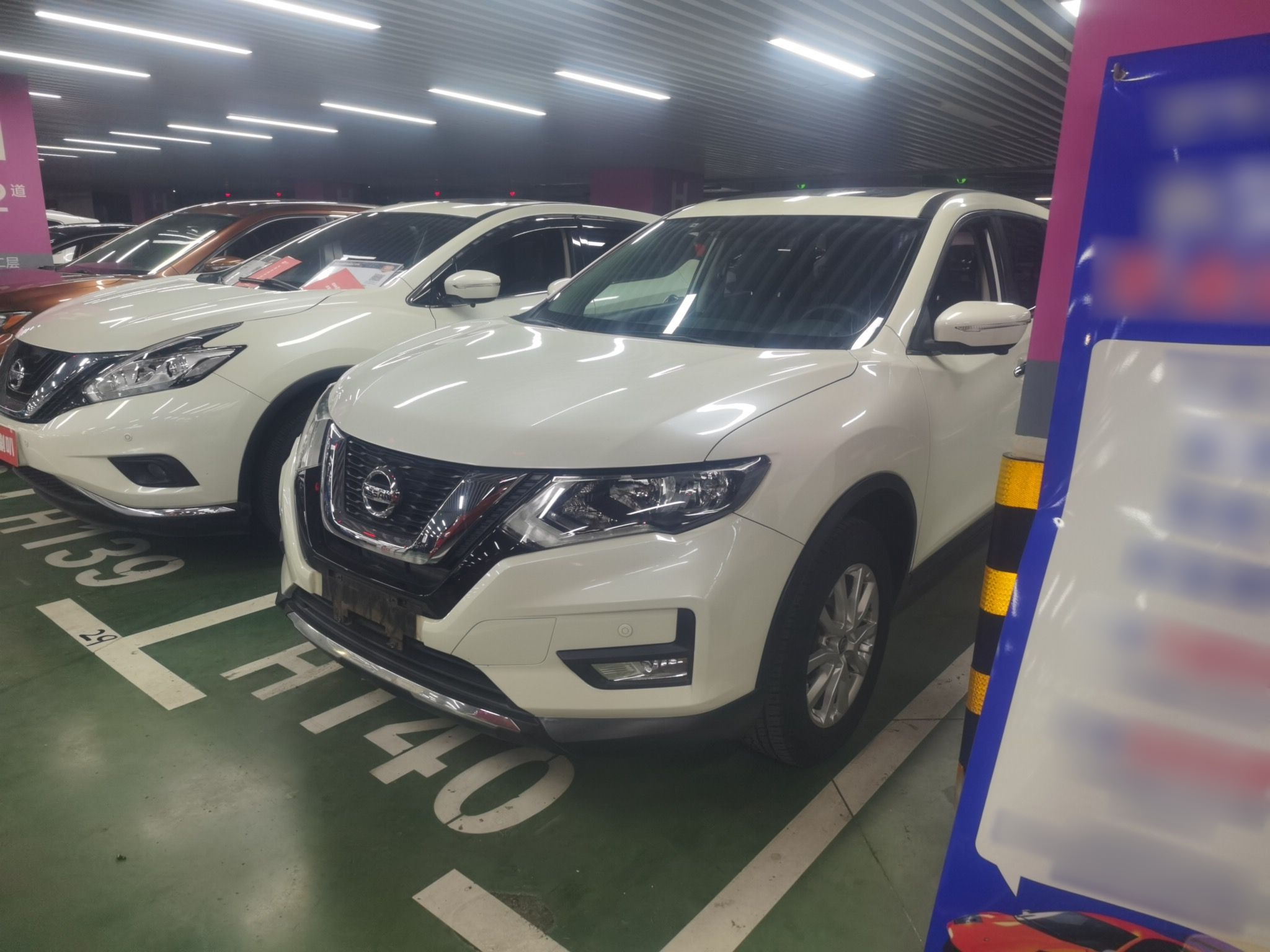 Parte inferior delantera