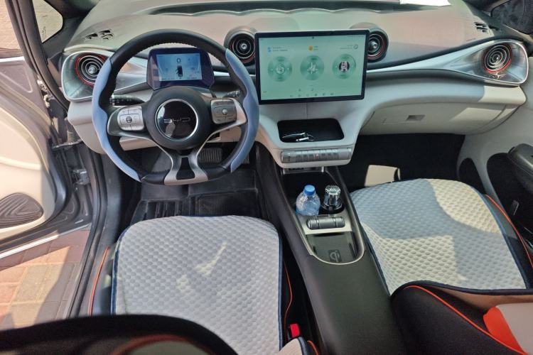 Used BYD Dolphin 2021 405 km Fashion Edition Center Console