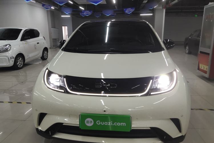 Used BYD Dolphin 2024 Honor Edition 420km Fashion Version
