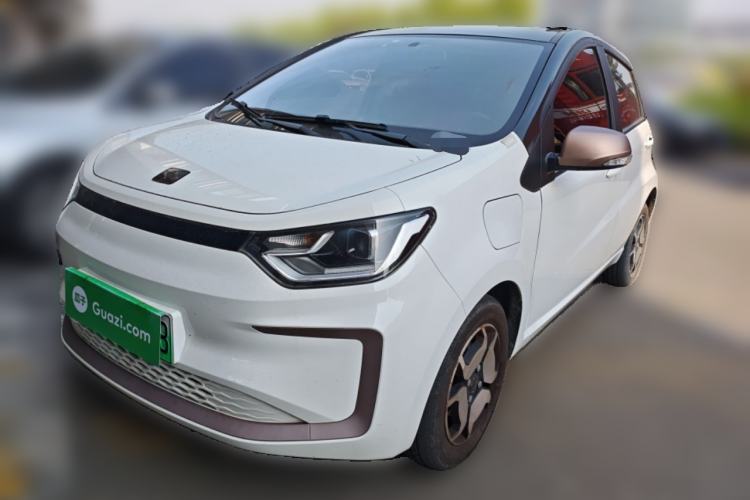 Used SOL E10X 2022 Flower Fairy Style Baby's Breath