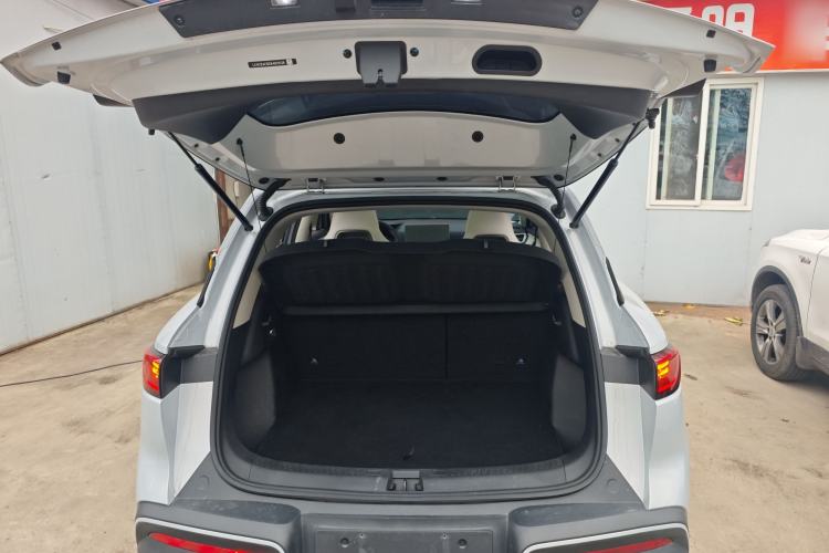 Used BYD Yuan UP 2024 401KM Beyond Edition
