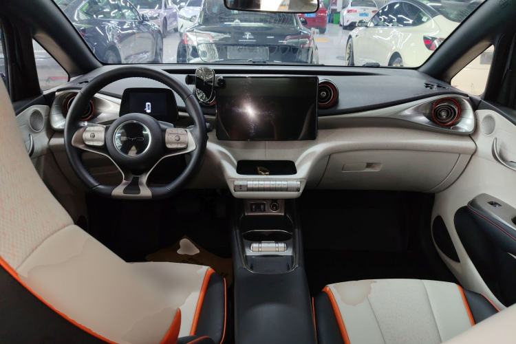 Used BYD Dolphin 2021 405 km Fashion Edition Center Console