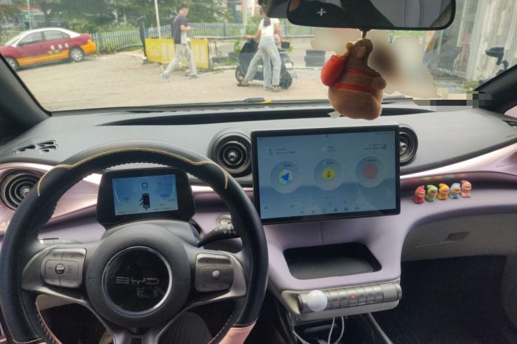 Used BYD Dolphin 2021 401km Knight Edition Center Console