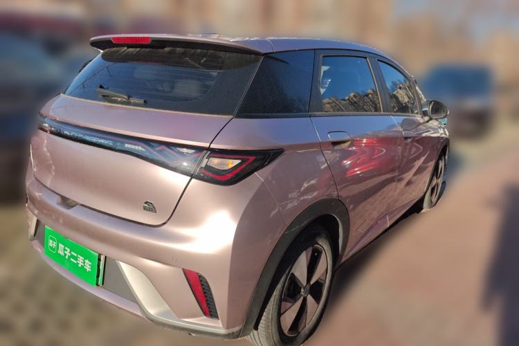 Used BYD Dolphin 2023 420 km Free Version Rear Right 45 Deg