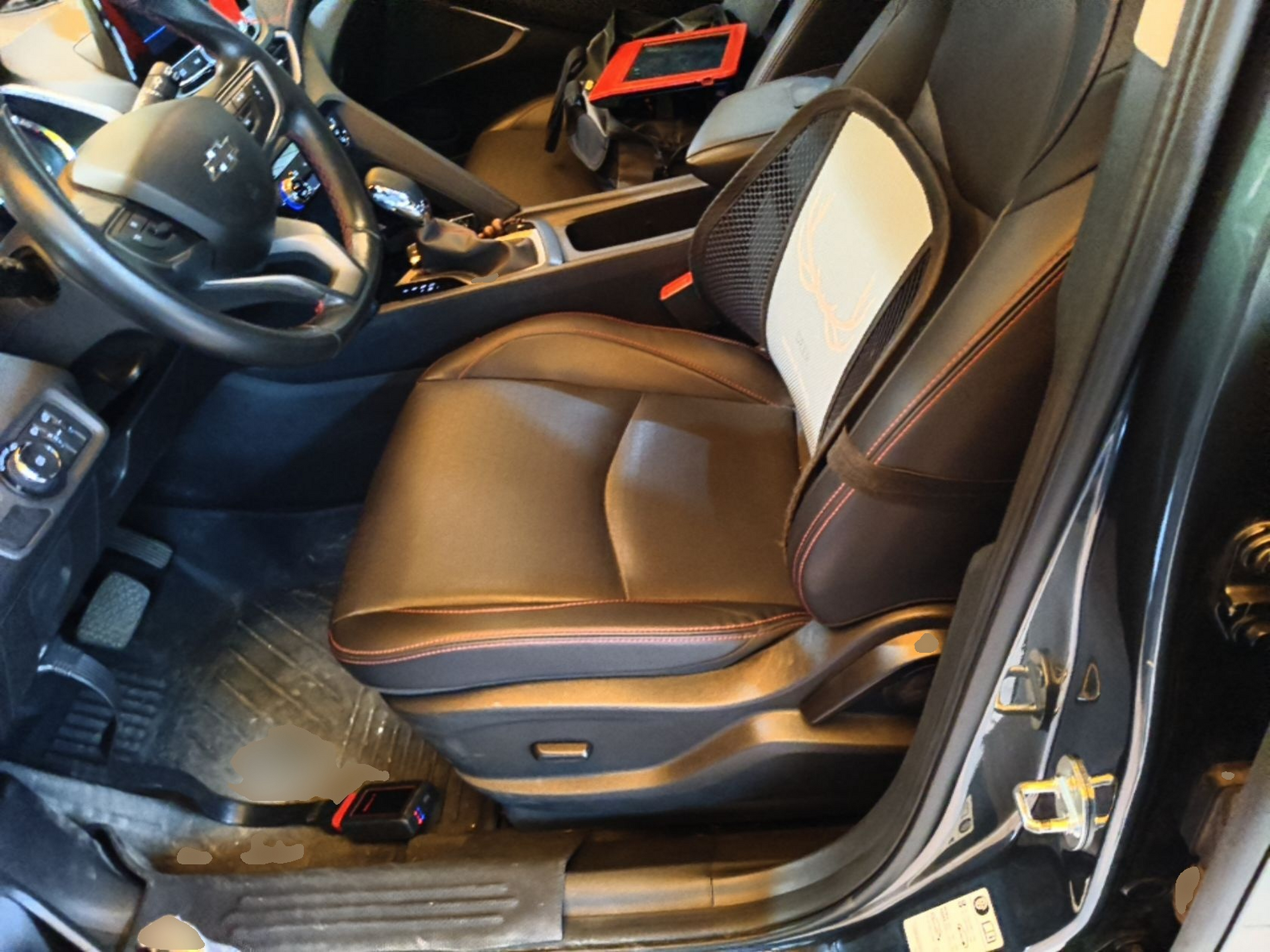 Interior delantero