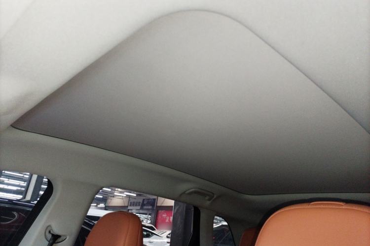 Used Leapmotor C10 2024 530 Smart Edition Headliner