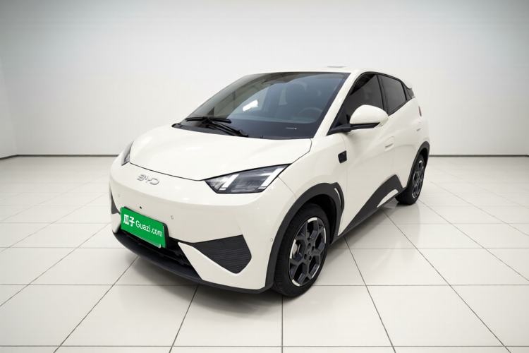 Used BYD Seagull 2025 Smart Drive Version 305 km Freedom Edition