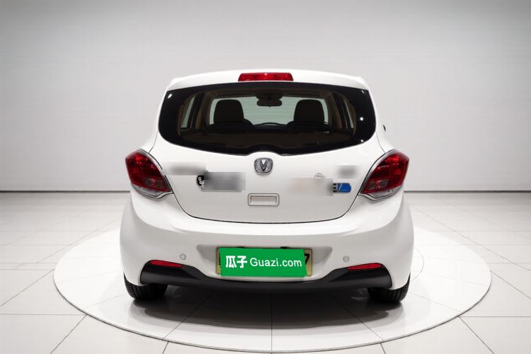 Used CHANGAN Benni EV 2018 EV260 Standard Model Exterior 4