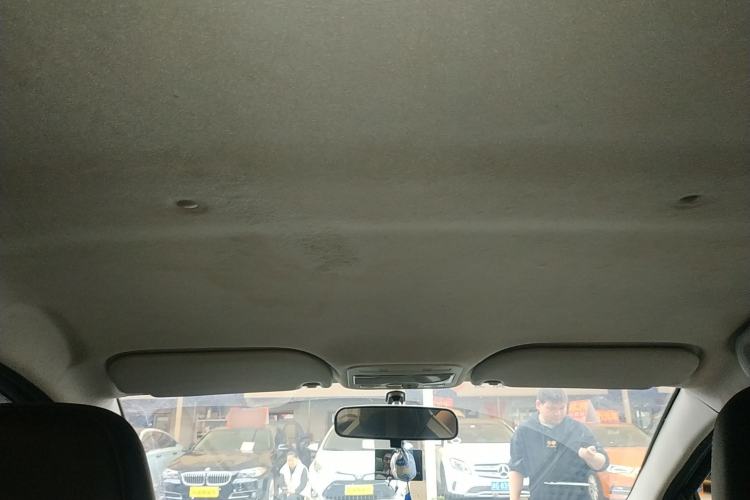 Used SOL E10X 2022 Flower Fairy Style Baby's Breath Headliner