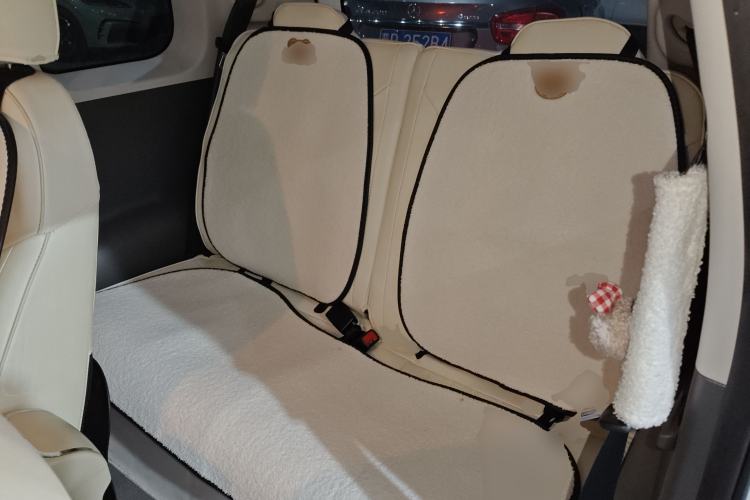 Used Qiyuan Lumin 2023 205km Xiangqin Version
