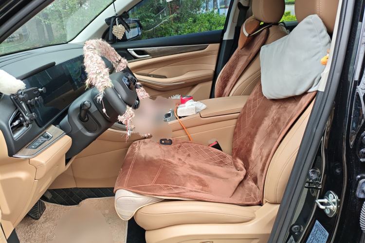 Used Landian E5 2023 1.5L DE-i 100KM Zhenxiang Edition 7-Seater Left Front Seat