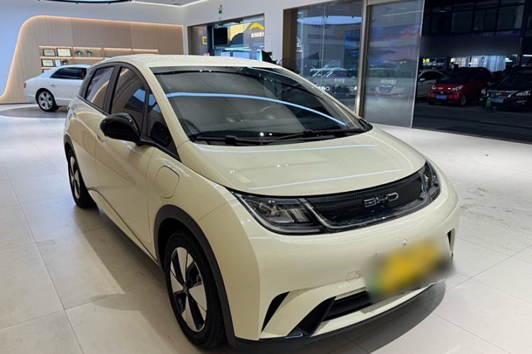 Used BYD Dolphin 2023 420 km Free Version