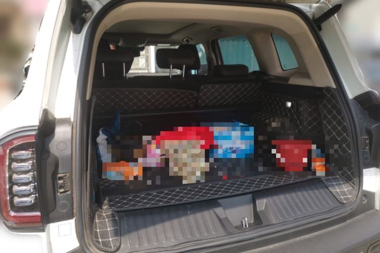 Used Haval DARGO 2021 2.0T DCT Two-Wheel Drive Chinese Mastiff Edition
