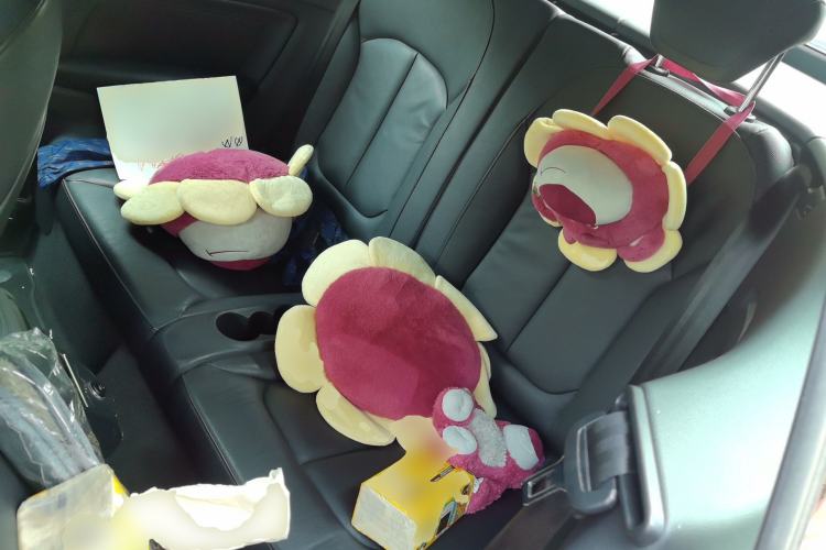 Used Audi A3 2017 Cabriolet 40 TFSI