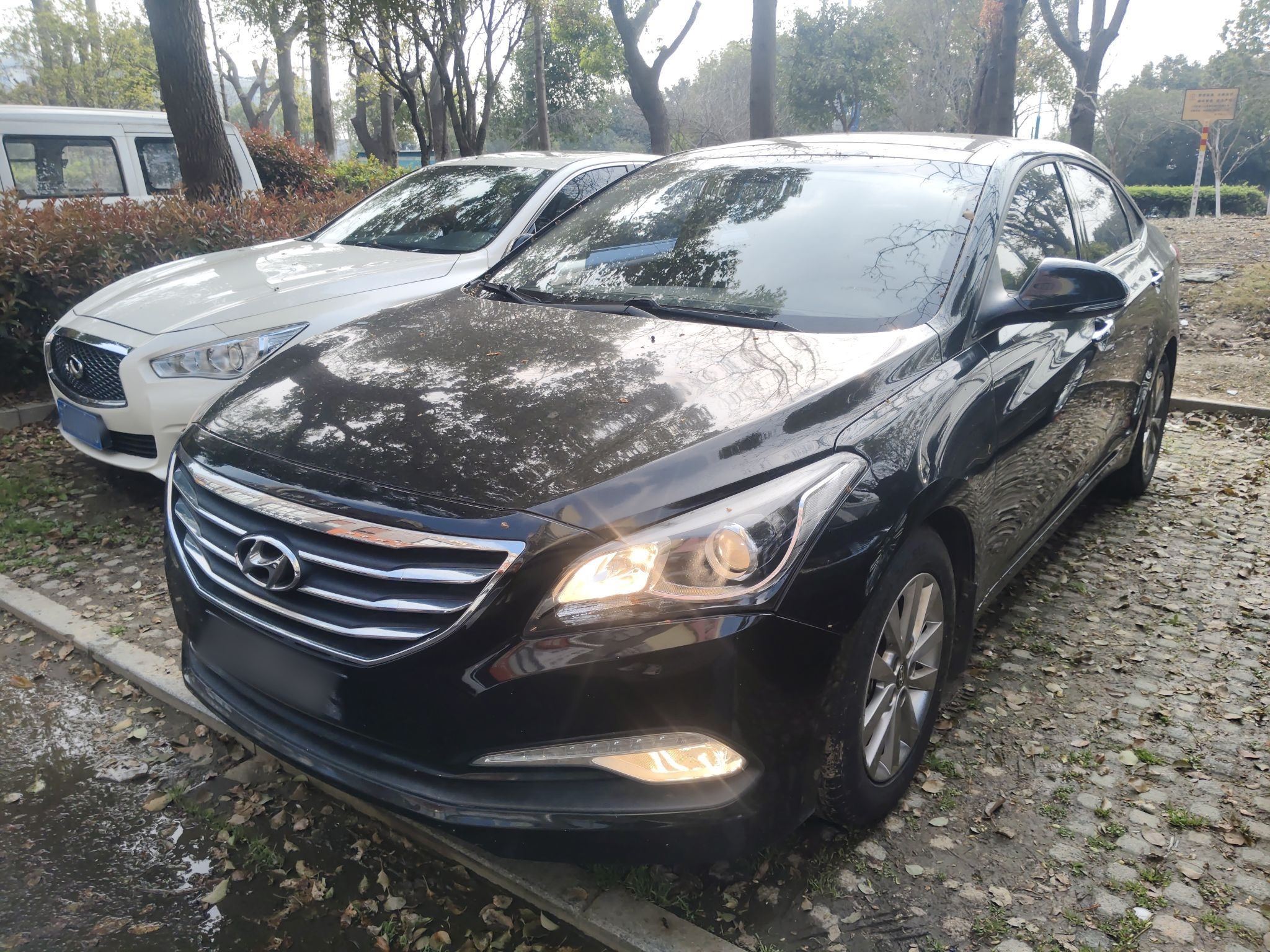 تحت مقدمة السيارة