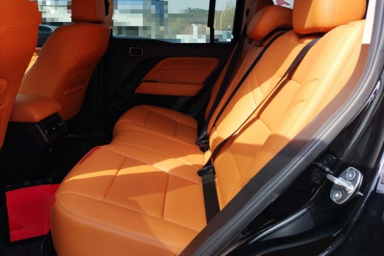 Used Haval Raptor New Energy 2024 Hi4 102 Pro Left Rear Seat