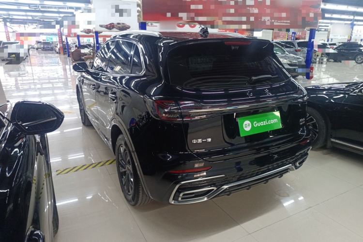 Used Hongqi HS5 2023 2.0T Qixiang Pro Edition
