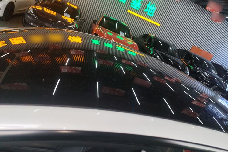 Used Tesla Model 3 2022 Rear-Wheel-Drive Version Roof