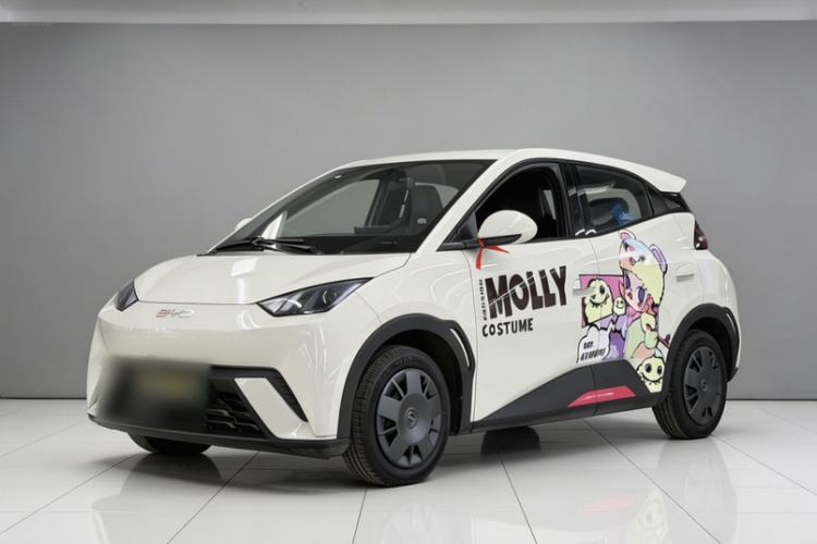 Used BYD Seagull 2025 305km Active Version