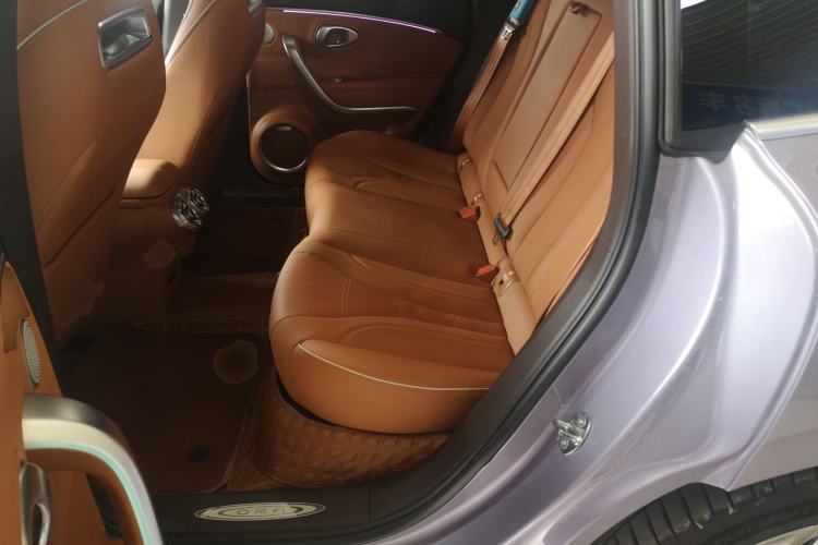 Used ORA Lightning Cat 2022 555 km Luxury Edition Left Rear Seat