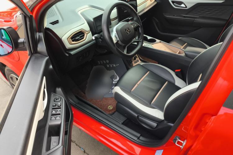 Used SOL E10X 2022 Flower Fairy Design Four-Leaf Clover