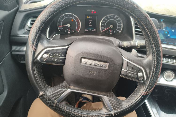 Used Haval H6 2017 Blue Label 2.0T Automatic Two-Wheel Drive Luxury Model