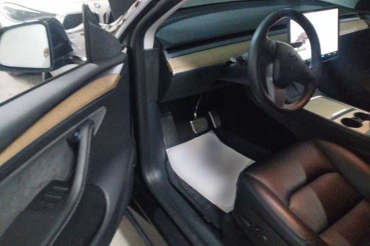 Used Tesla Model Y 2021 Standard Range Rear-Wheel Drive Version
