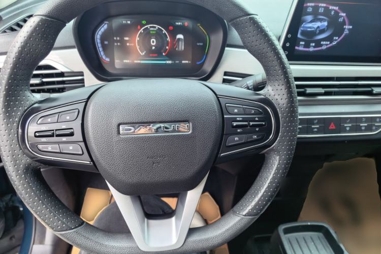 Used Dayun Yuehu 2022 30.66 kWh Two-Wheel Drive VIP Edition
