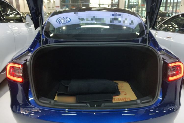 Used Tesla Model 3 (Import) 2019 Long-Range Rear-Wheel-Drive Version