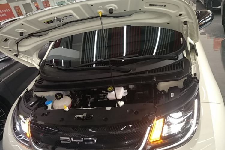 Used BYD Dolphin 2021 405 km Fashion Edition