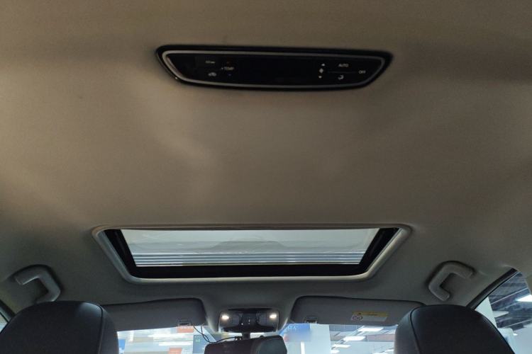 Used GAC Trumpchi M8 2020 Flagship Model 390T Deluxe Edition Headliner