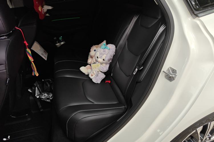 Used Ford Escort 2021 1.5L Automatic Diamond Edition Left Rear Seat