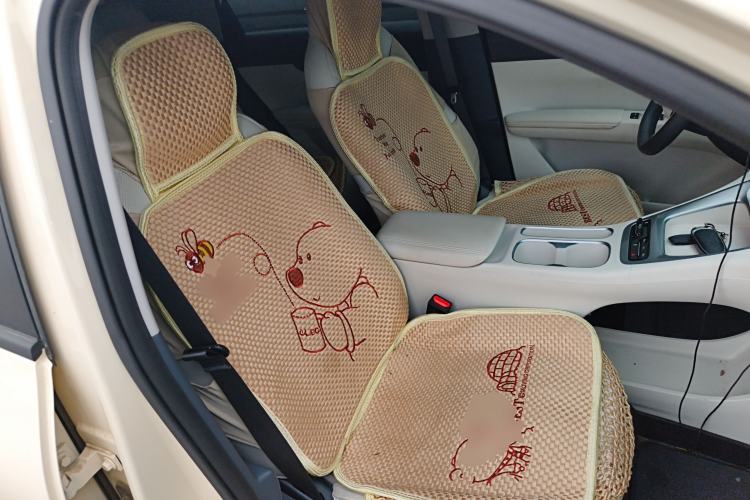 Used Geely Galaxy Geome 2025 310km Dream Edition Right Front Seat