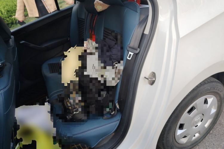 Used Skoda Rapid 2016 1.4L Manual Front-Wheel Drive Model