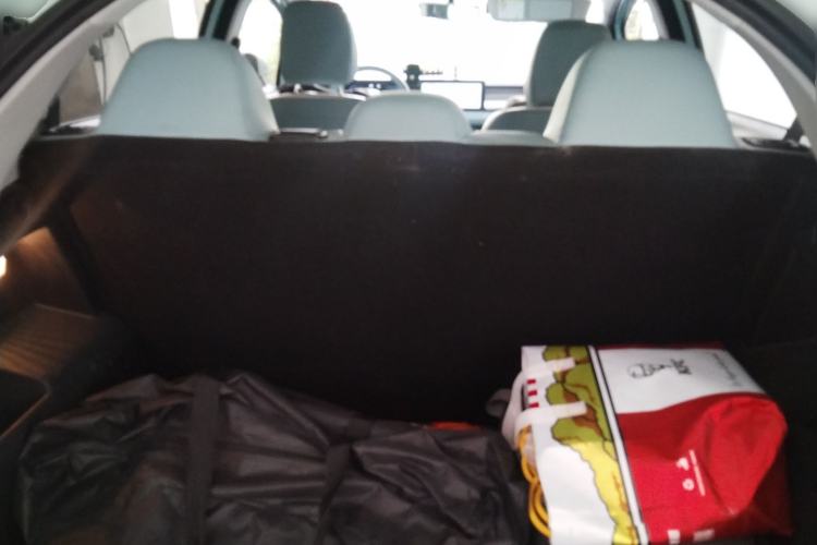 Used Geometry E Firefly 2024 401 km Fluorescent Trunk