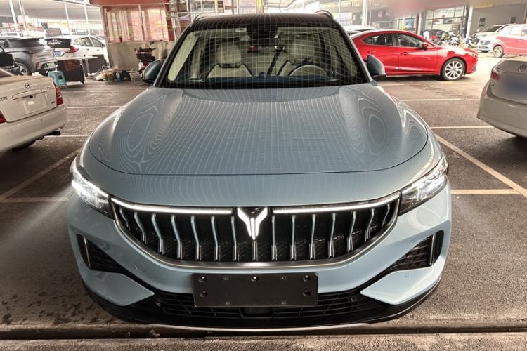 Used VOYAH FREE 2021 Four-Wheel Drive Standard All-Electric Exclusive Luxury Package
