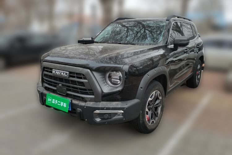 Used Haval DARGO 2024 2.0T DCT Chinese Rural Dog Edition