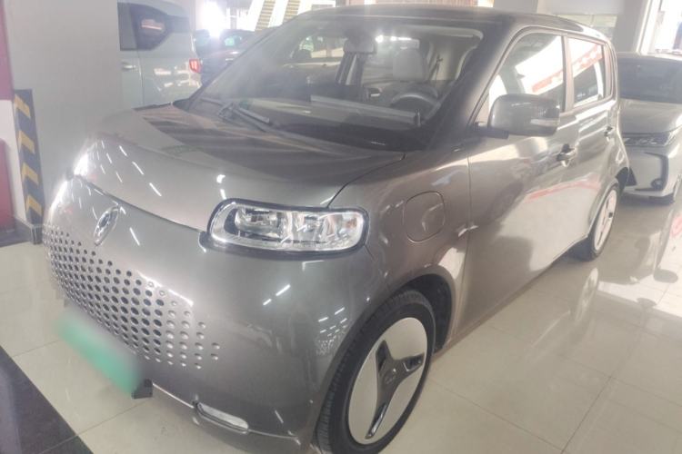 Used ORA White Cat 2020 305 km Luxury Version