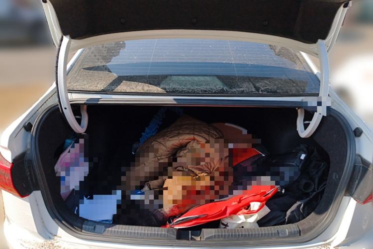 Used Volkswagen Bora 2021 1.5L Automatic Comfort Smart Connect Edition
