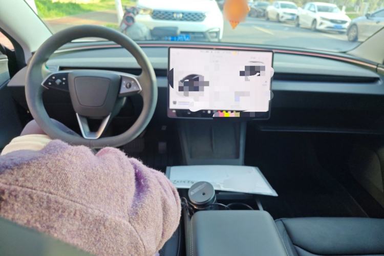 Used Tesla Model 3 2025 Model Revised Rear-Wheel-Drive Version