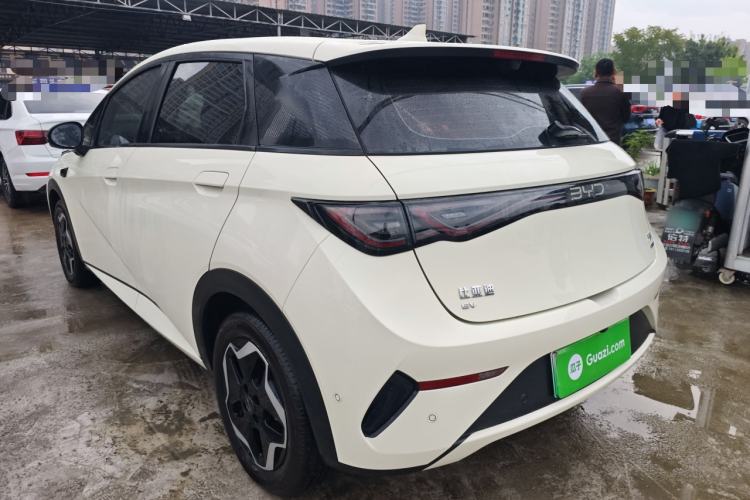 Used BYD Dolphin 2025 Smart Drive Version 420 km Freedom Edition Rear Left 45 Deg