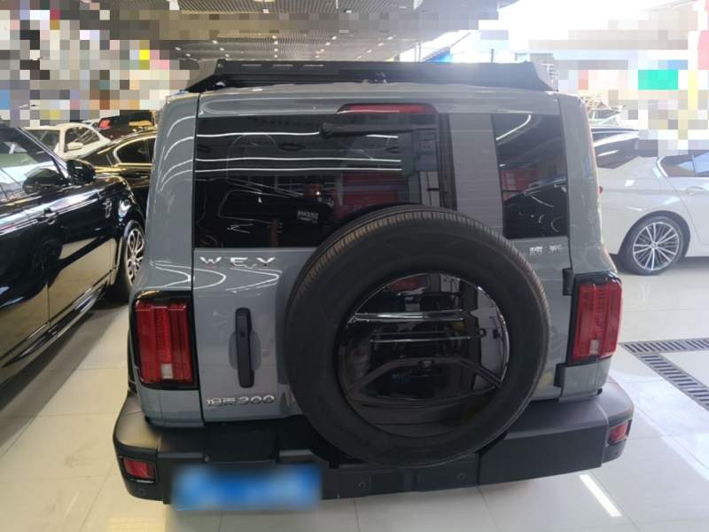 Used Tank 300 2021 Off-Road Edition 2.0T Challenger — 5