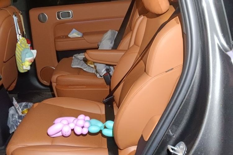 Used Li Auto L9 2023 Pro Model
