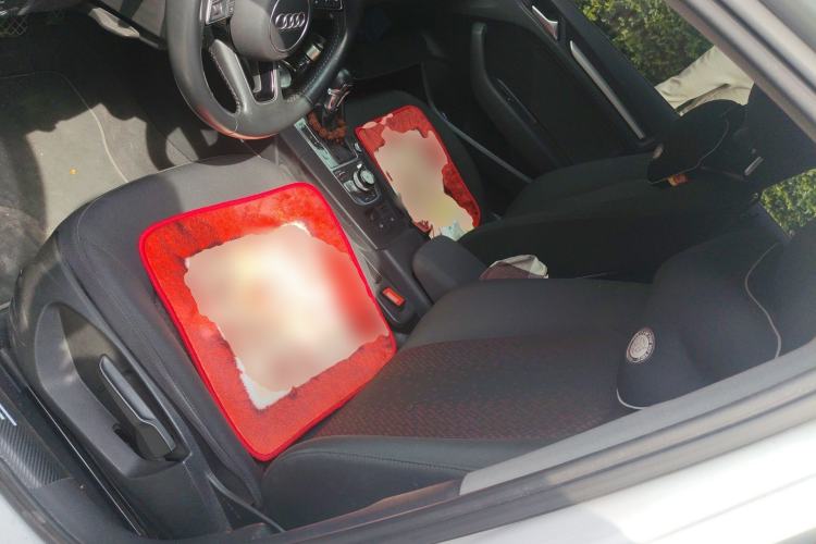 Used Audi A3 2019 Limousine 35 TFSI Ambition China V Left Front Seat